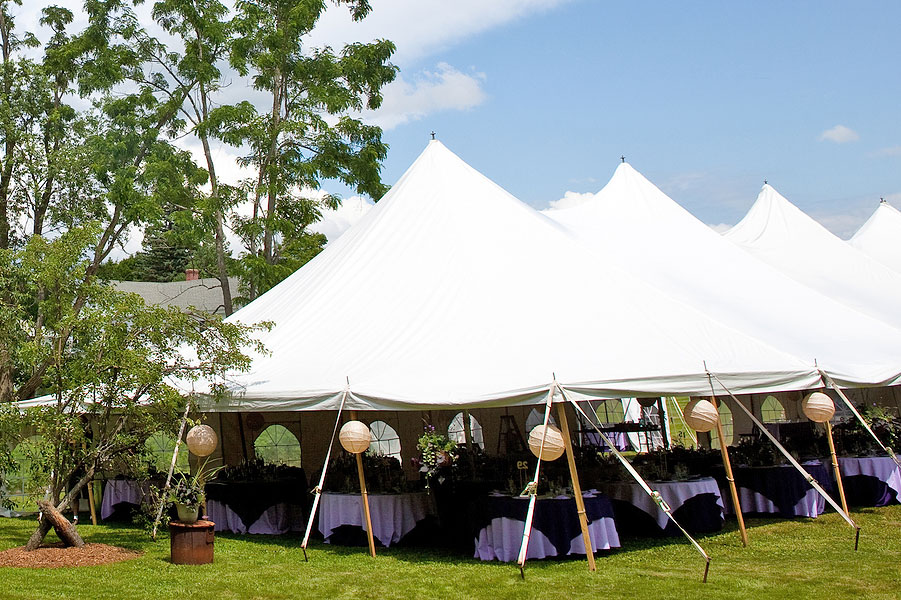 Wedding Rental Equipment Tips for Backyard Ceremonies and Receptions